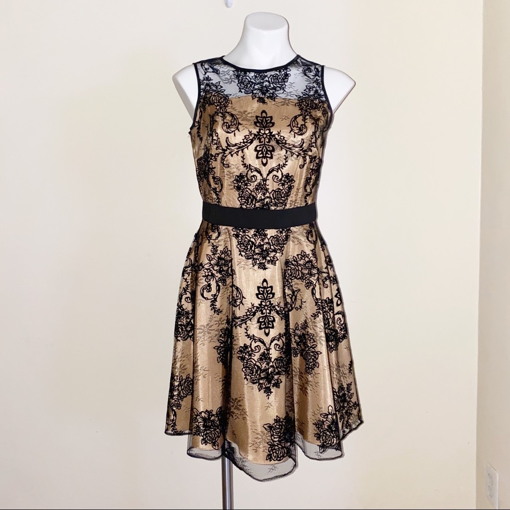 Gabby Skye Black Lace Dress